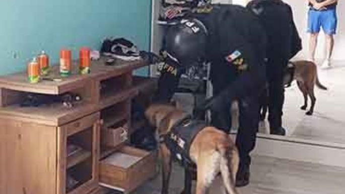Desmantelaron dos organizaciones narco