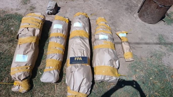 Desmantelaron una plantación de marihuana en Isla Verde: padre e hijo, detenidos