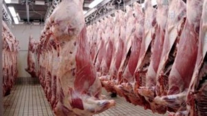 Carnes: menos kilos, más dinero