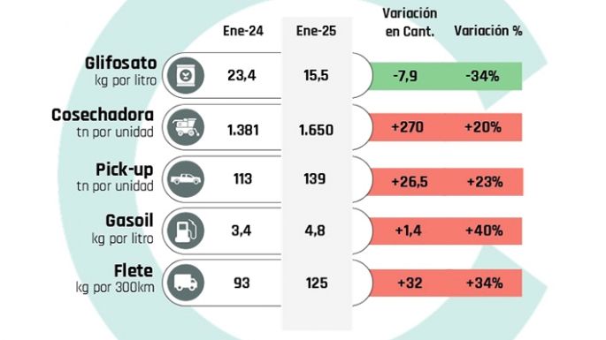 Cuánto poder adquisitivo perdió el cultivo de soja