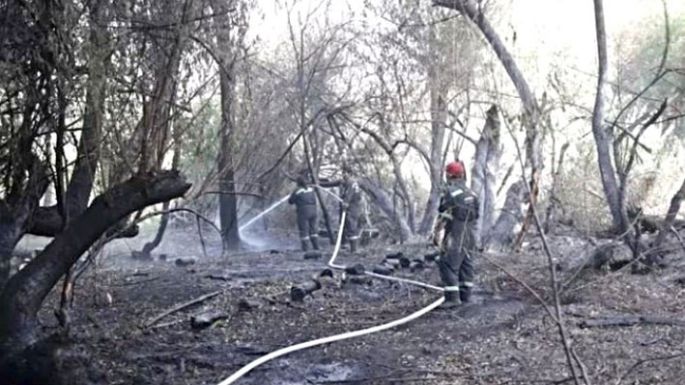 Un detenido y 700 viviendas en riesgo