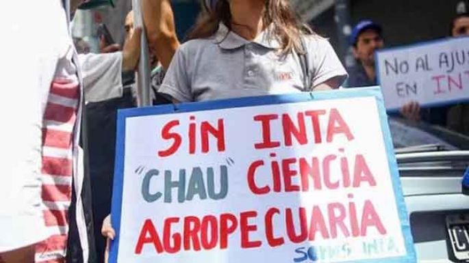 Pasa la motosierra por el INTA