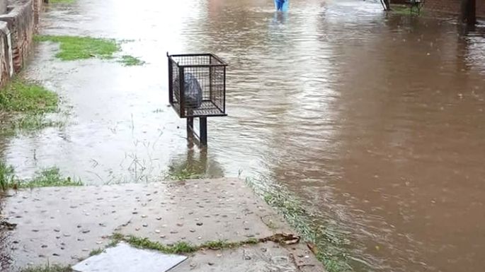 Las calles de la ciudad se vieron anegadas