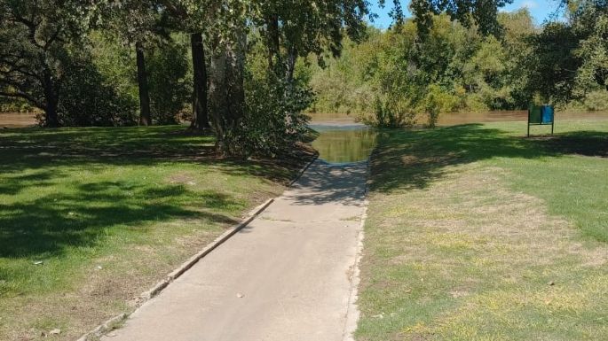 Comienza a verse el pico de la crecida del río