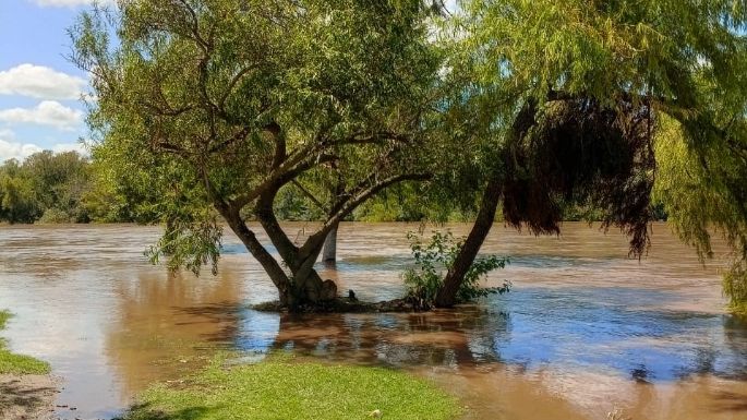 Comienza a verse el pico de la crecida del río