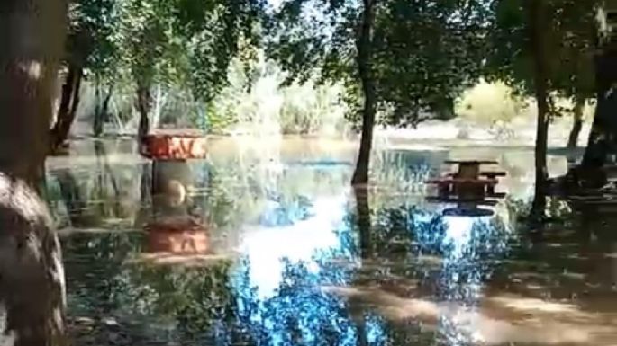 Comienza a verse el pico de la crecida del río