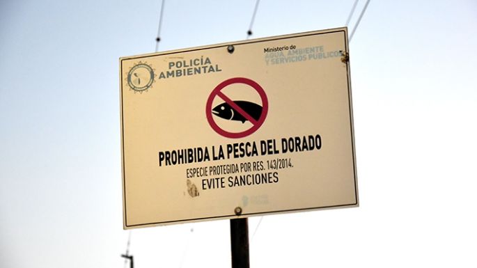 Más pesca ilegal