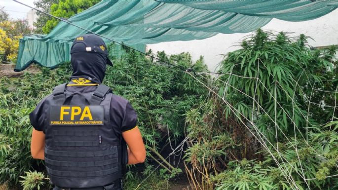 Un detenido y drogas secuestradas en dos allanamientos
