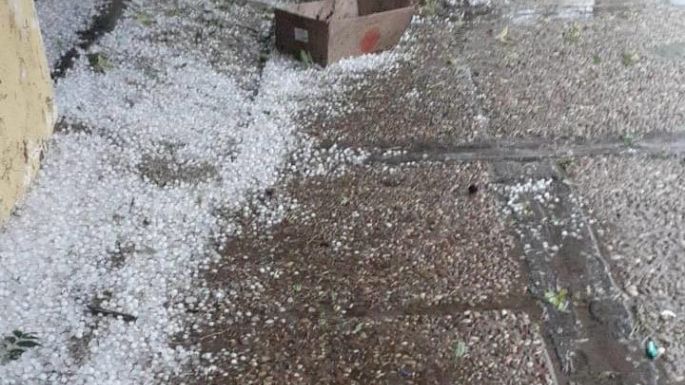 En Ucacha cayó granizo y el viento tiró árboles