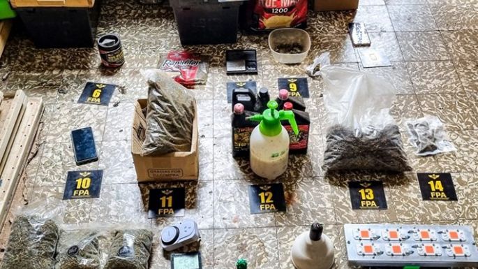 La FPA encontró un vivero de marihuana en una casa
