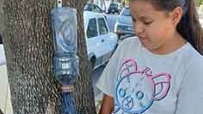 Guada ideó un dispensador de bolsas para la plaza de su sector