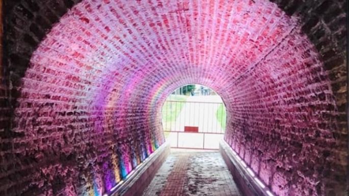 Reabren hoy el túnel