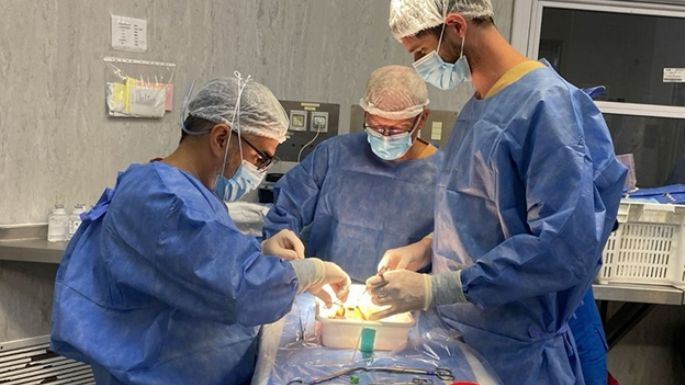 Realizan inédito trasplante renal