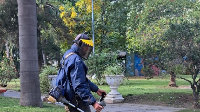 En dónde están arreglando calles y limpiando espacios verdes