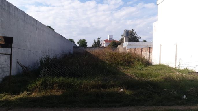 Piden por la limpieza de un terreno baldío