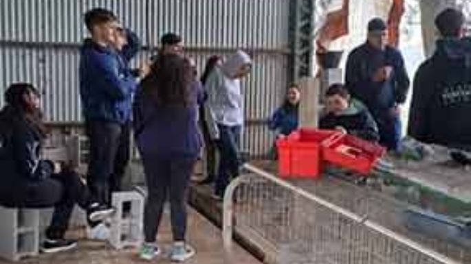 Alumnos construyen parideras