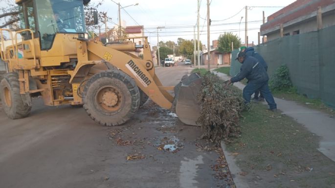 Recogen restos de poda y escombros en Las Playas