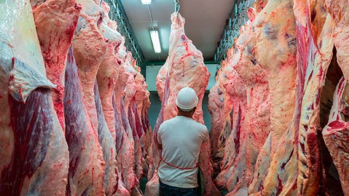 Cayó un 36% la exportación de carne bovina