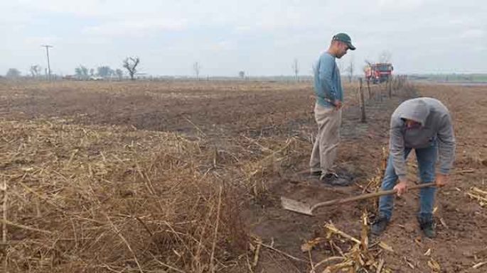 Estudio sobre los efectos de los incendios en suelos agrícolas