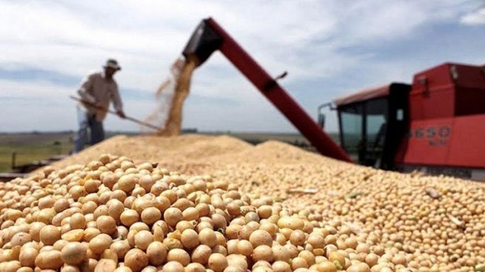 La guerra de aranceles y sus efectos en el agro