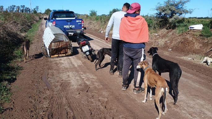 Seis hombres demorados por realizar caza ilegal con jauría