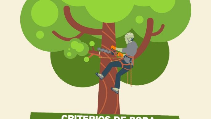 Ofrecen un curso sobre criterios de poda para vecinos 
