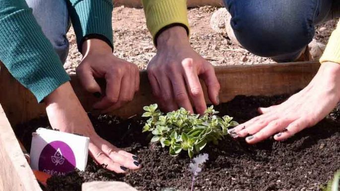 Distribuyen semillas en la Escuela Granja