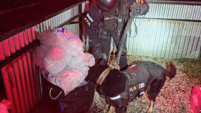 Había marihuana, éxtasis y varias dosis de “popper”