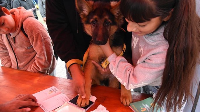 El desfile canino inauguró el SAM
