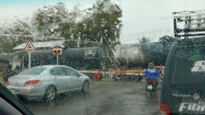 El paso del tren en hora pico, un "dolor de cabeza" diario