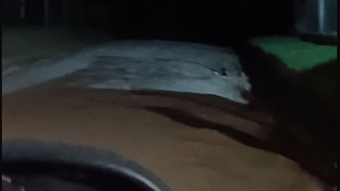 A oscuras: mostró el estado de la calle de tierra por la que se ingresa a El Caminante