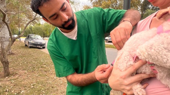 Continúa la vacunación antirrábica en Villa Nueva