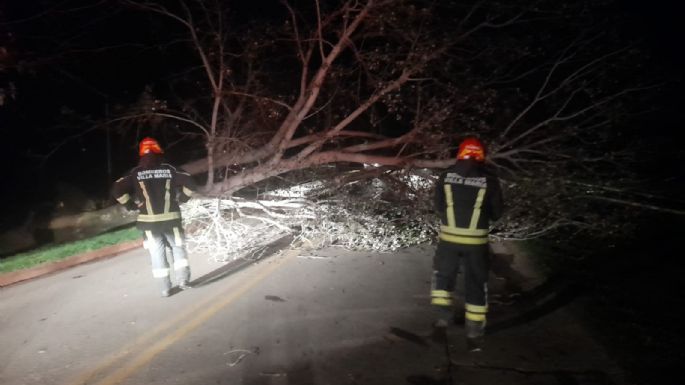 Fuerte vendaval y complicaciones en la ciudad