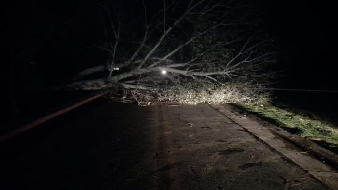 Fuerte vendaval y complicaciones en la ciudad