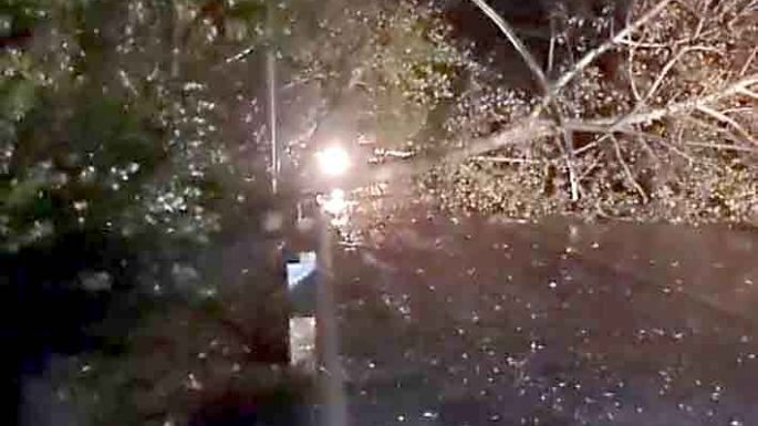 Tormenta causó serios problemas