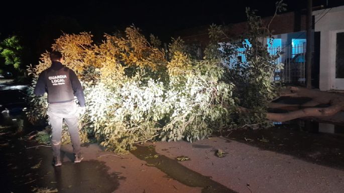 Árboles caídos, voladura de techos y cortes de luz tras la tormenta