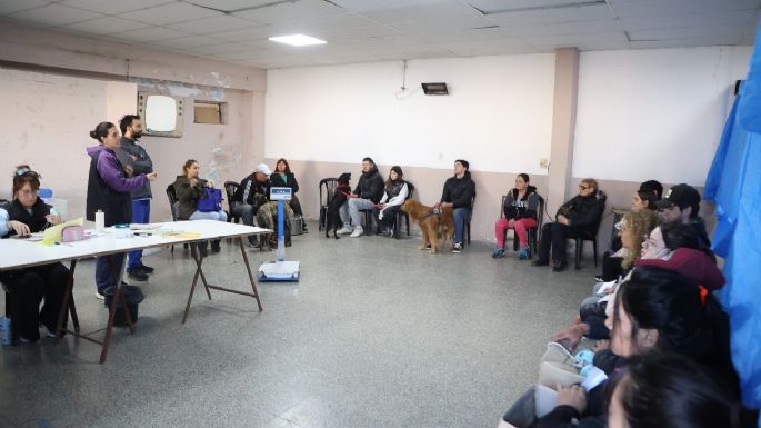 Castraron perros y gatos en el barrio Las Playas