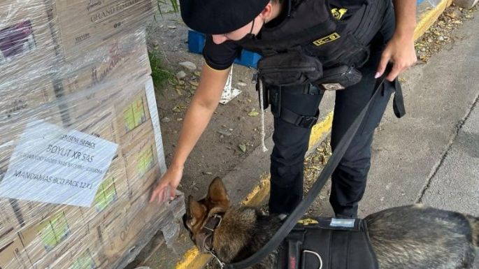 Secuestraron éxtasis y marihuana en el Festival del Cuarteto