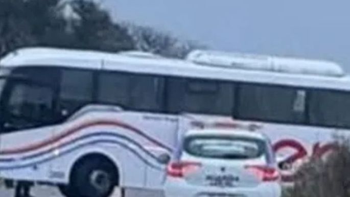 Colectivo impactó contra un caballo en ruta 9