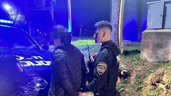 Detuvieron a un hombre de 56 años por robar una cartera 