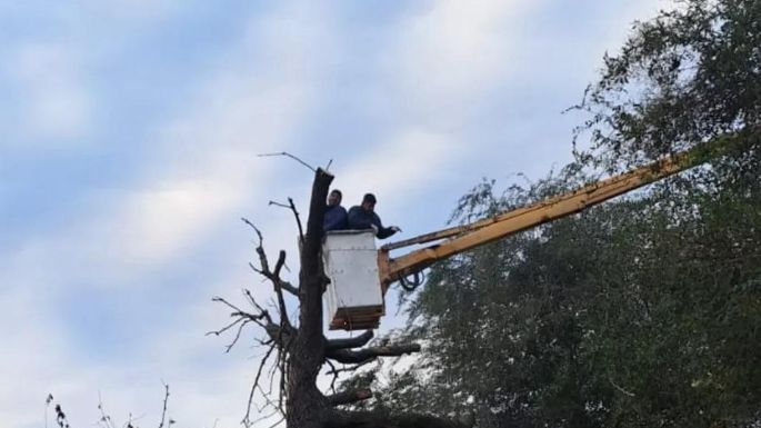 Cortocircuitos en líneas de alumbrado público y reparación por el viento