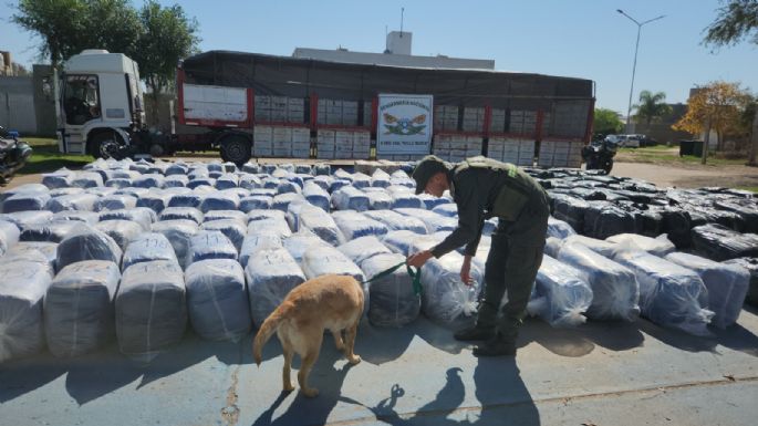 Los gendarmes de Villa María incautaron más de 6.800 kilos de hojas de coca en estado natural