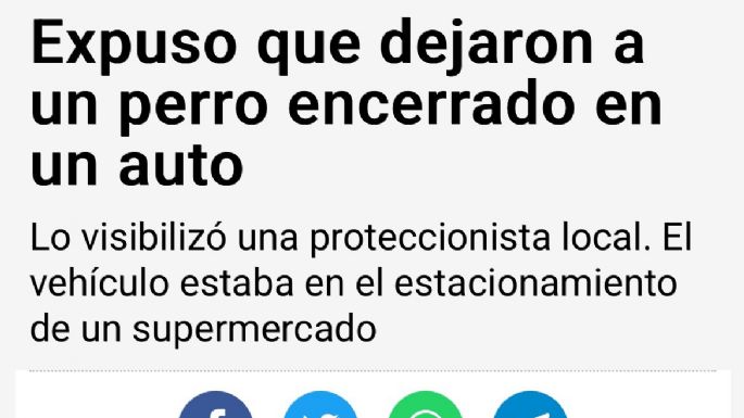 El hombre apuntado por una proteccionista negó maltrato animal