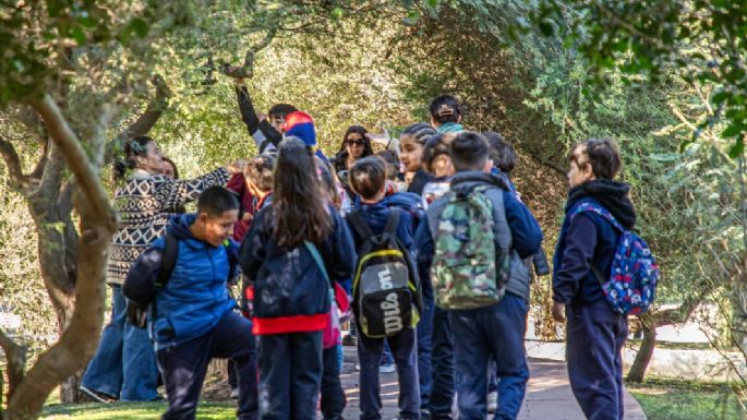 Niños en el Bosque Autóctono