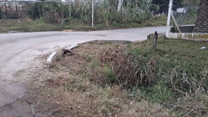 Mujer fue encontrada en una zanja junto a su bicicleta