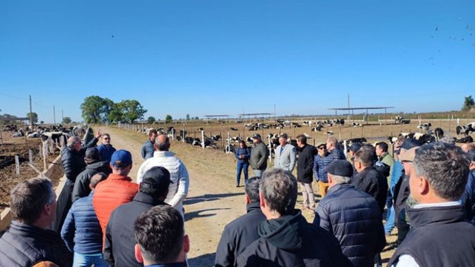 Primer feedlot cooperativo