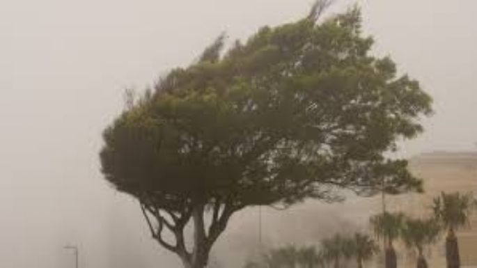 Alertan por fuertes ráfagas de viento