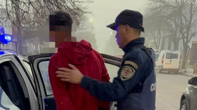 Rompió la ventanilla de un auto para robar dinero y otros elementos