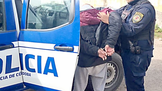En el Día Nacional del Perro, cayó preso un joven por robar un pitbull