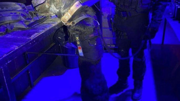Secuestraron drogas de las más variadas en una fiesta electrónica